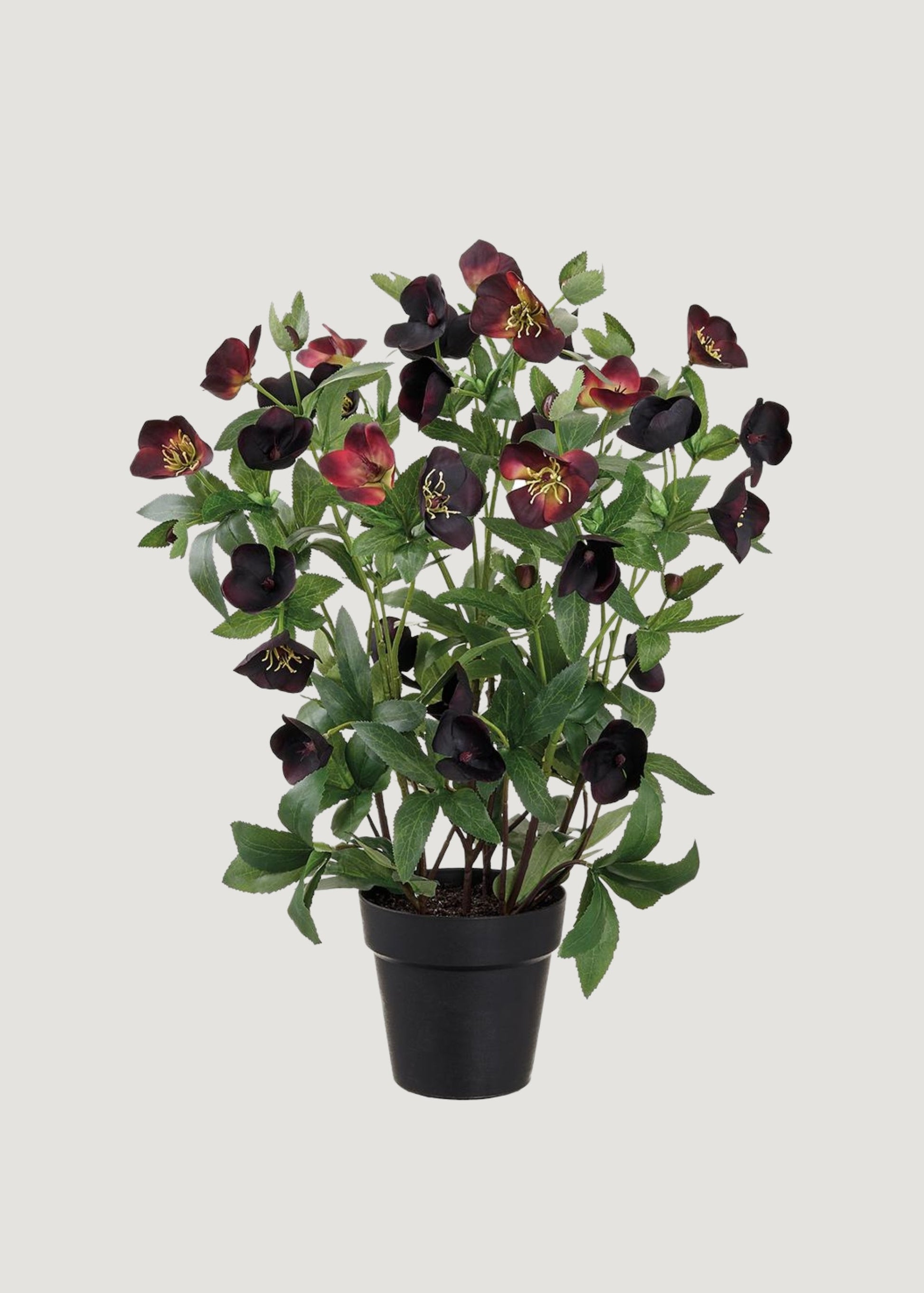 Plum Purple Helleborus Fake Flower Arrangement in Pot - 22"