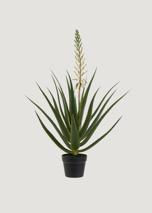 Artificial Blooming Agave Cactus Potted Plant - 36"