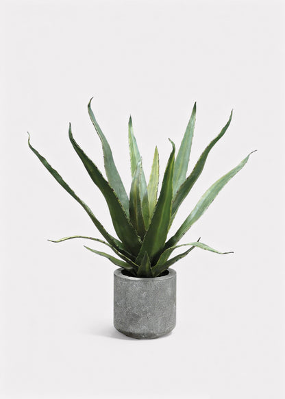 Fake Potted Agave Cactus Plant in Cement Pot - 19"