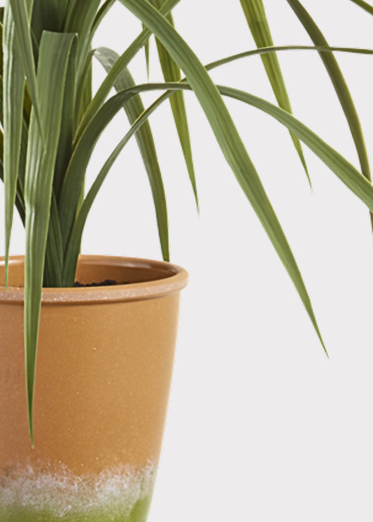 Artificial Dracaena Succulent Plant in Pot - 25.5"