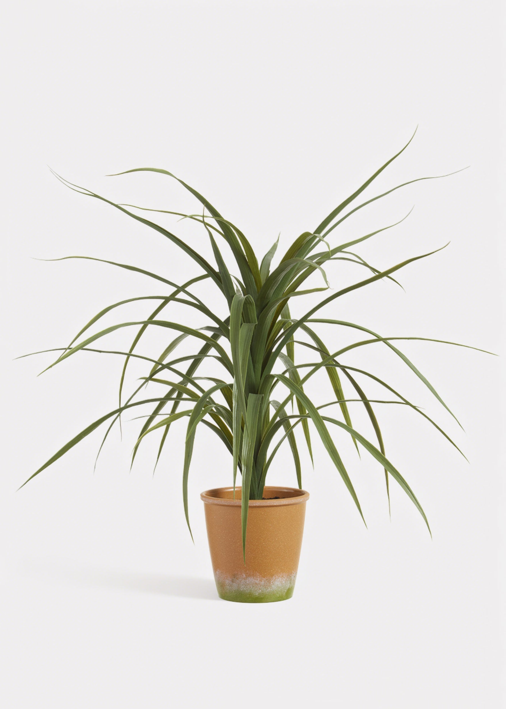 Artificial Dracaena Succulent Plant in Pot - 25.5"