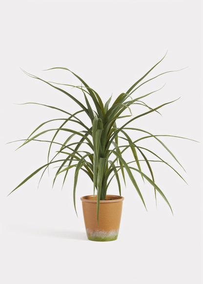 Artificial Dracaena Succulent Plant in Pot - 25.5"
