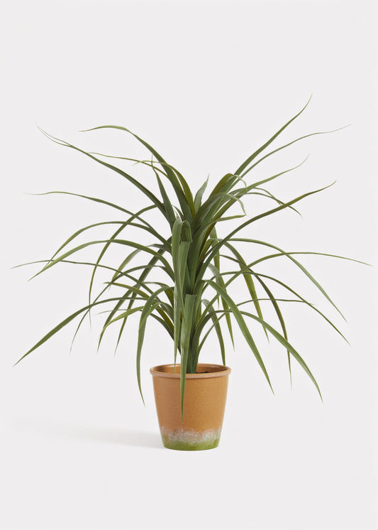 Artificial Dracaena Succulent Plant in Pot - 25.5"