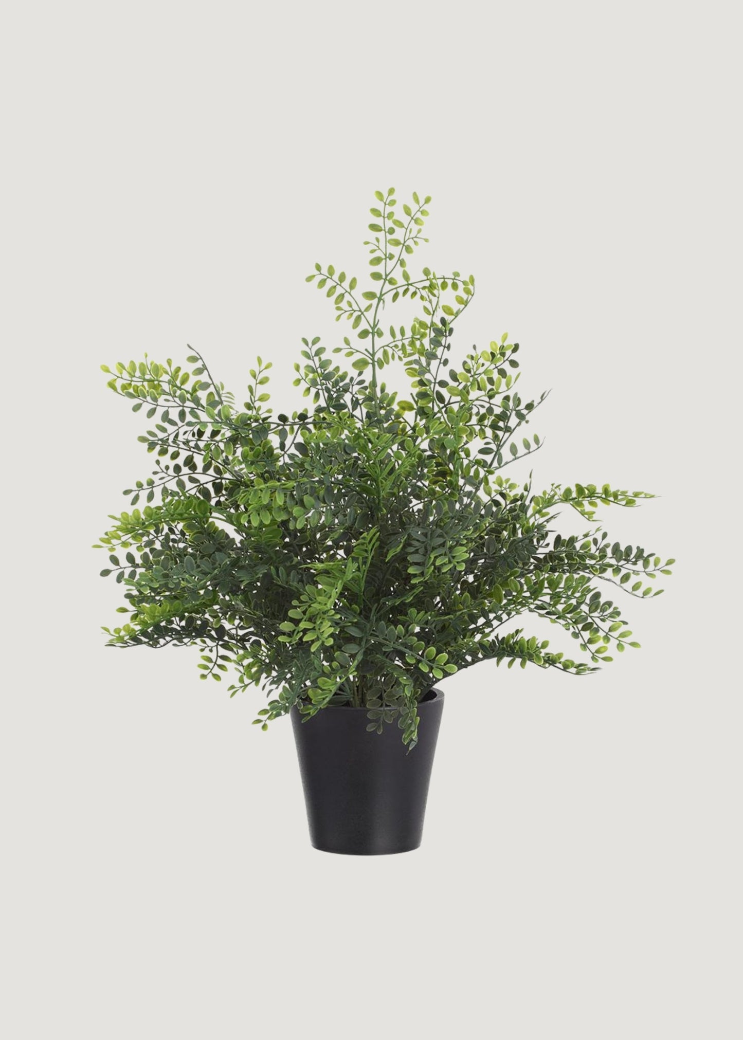 Artificial Maidenhair Fern Potted Plant - 16.5"