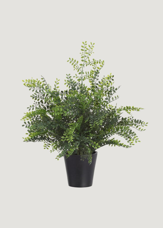 Artificial Maidenhair Fern Potted Plant - 16.5"