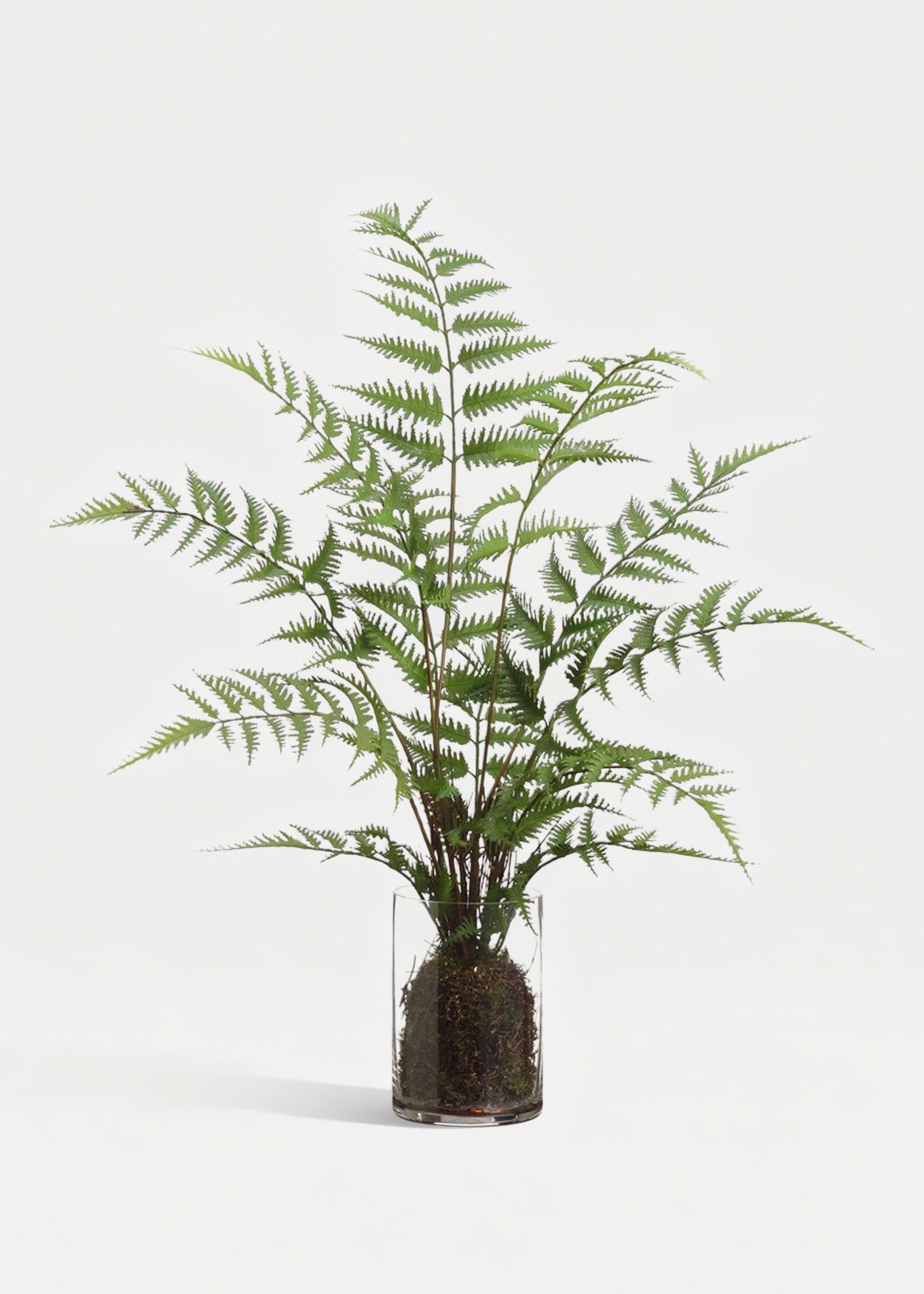 Fake Forest Fern Plant Arrangement in Glass Vase - 25"