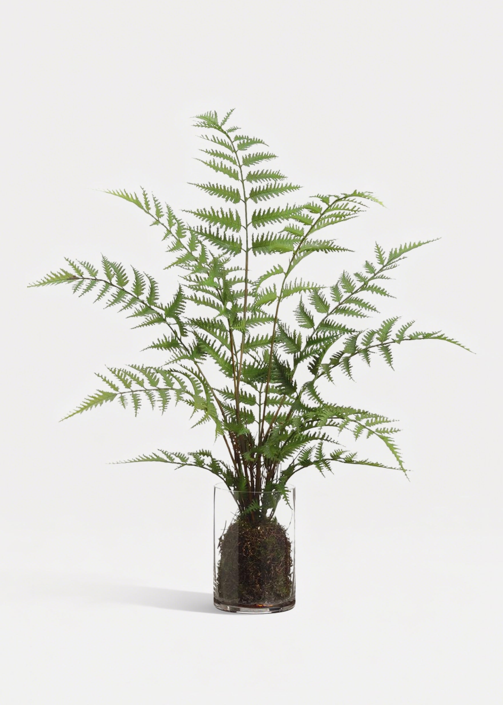 Fake Forest Fern Plant Arrangement in Glass Vase - 25"