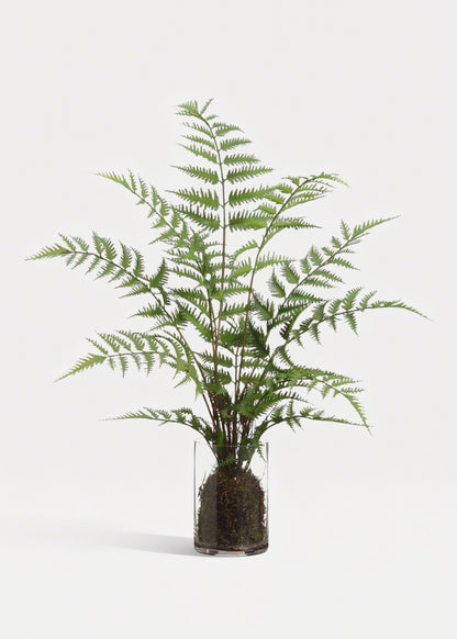 Fake Forest Fern Plant Arrangement in Glass Vase - 25"