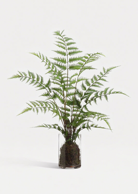 Fake Forest Fern Plant Arrangement in Glass Vase - 25"