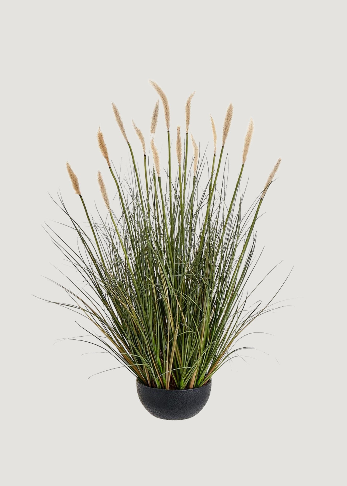 Fake Foxtail Grass Plant in Plastic Planter Pot - 28"