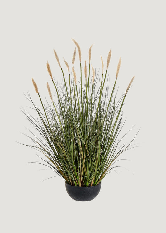 Fake Foxtail Grass Plant in Plastic Planter Pot - 28"