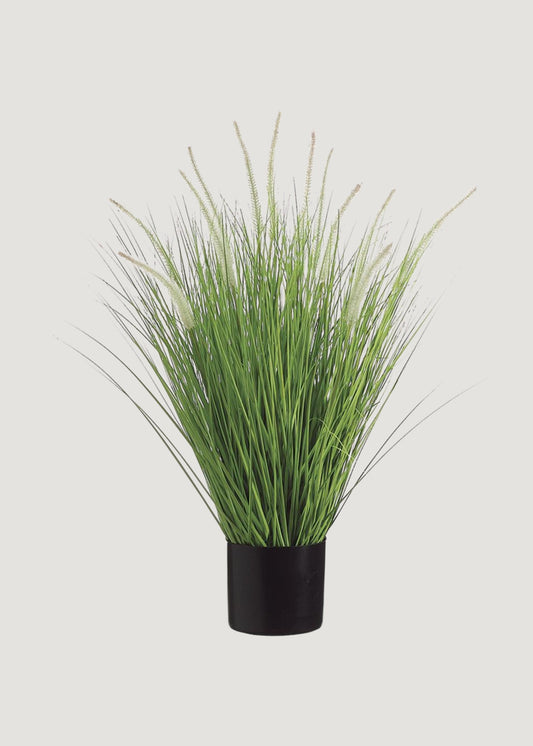 Tall Artificial Potted Dog Tail Onion Grass Plant - 34"