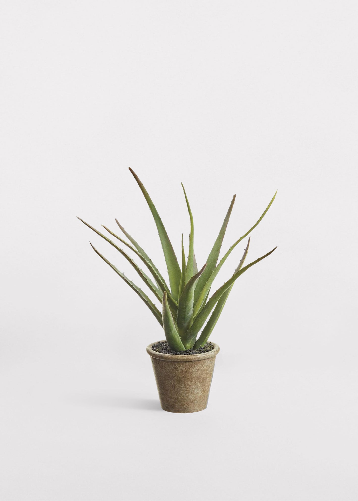 Small Fake Agave Cactus Plant in Paper Mache Pot - 11"