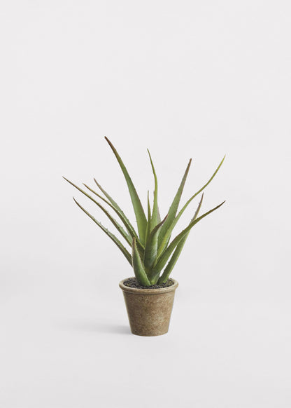 Small Fake Agave Cactus Plant in Paper Mache Pot - 11"
