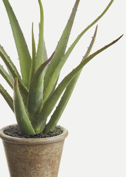 Small Fake Agave Cactus Plant in Paper Mache Pot - 11"