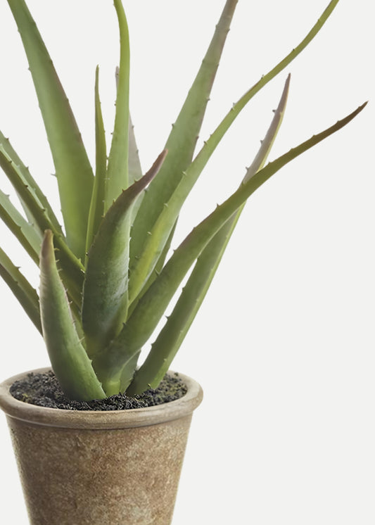 Small Fake Agave Cactus Plant in Paper Mache Pot - 11"