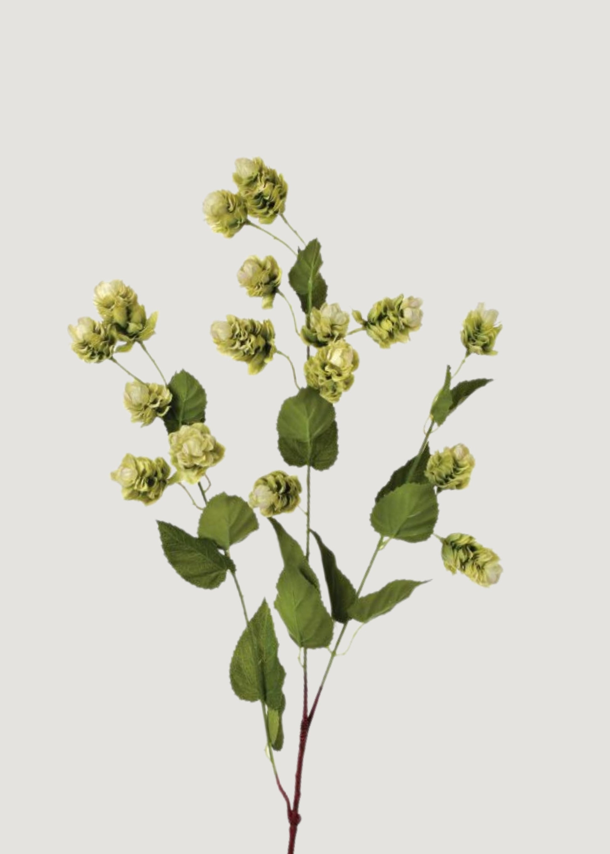 Artificial Hops Greenery Branch - 39"