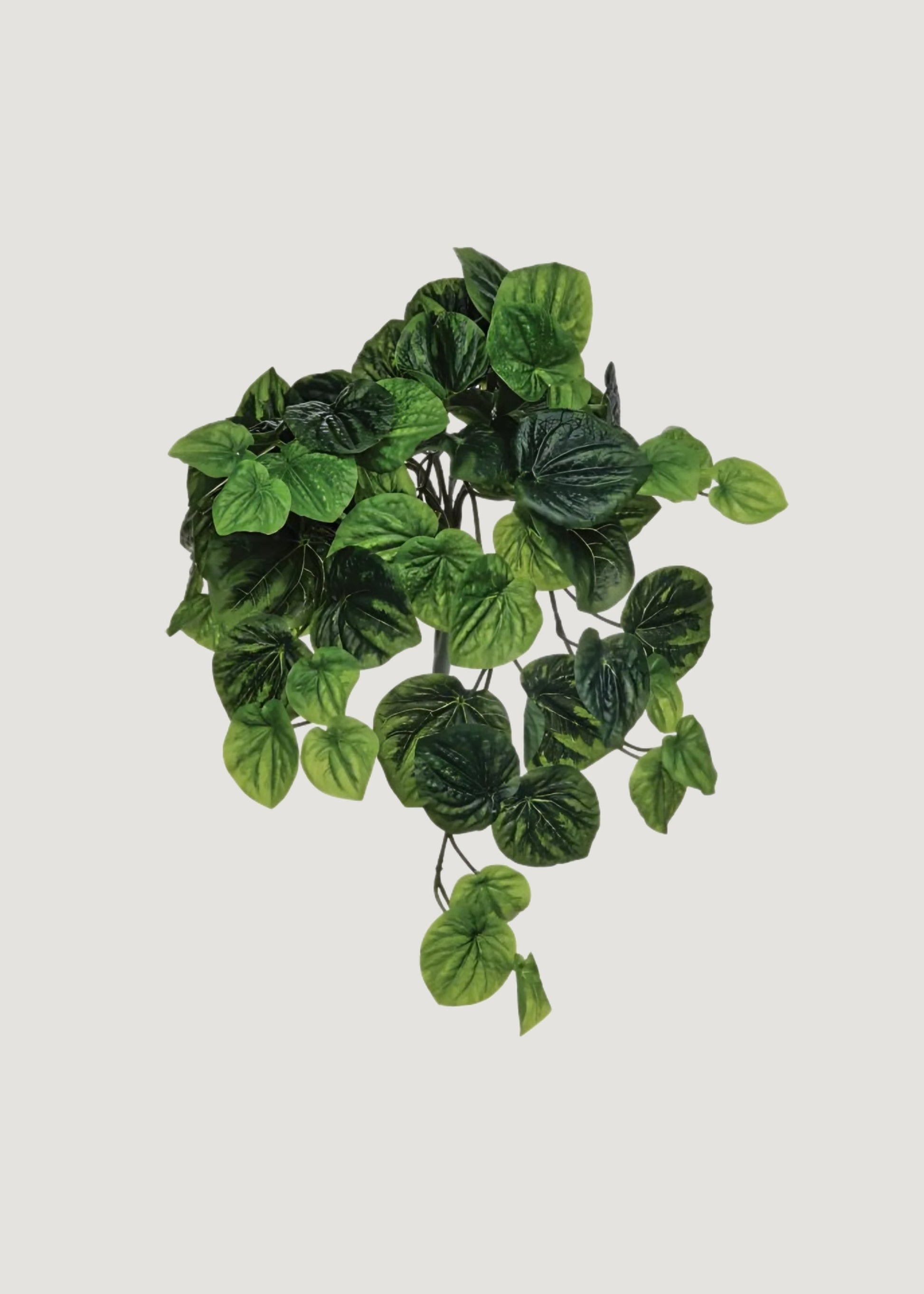 UV Treated Peperomia Fake Indoor/Outdoor Hanging Plant - 21"