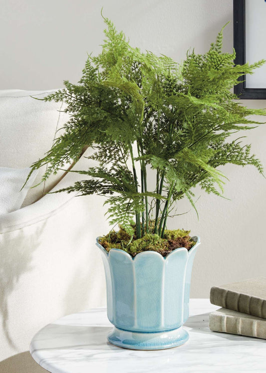 Artificial Plumosus Fern Potted Plant - 21"