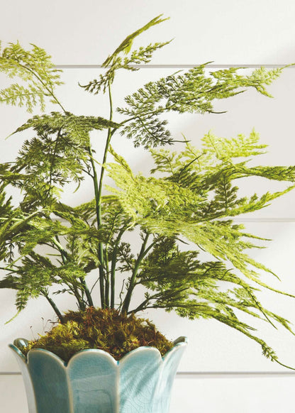Artificial Plumosus Fern Potted Plant - 21"
