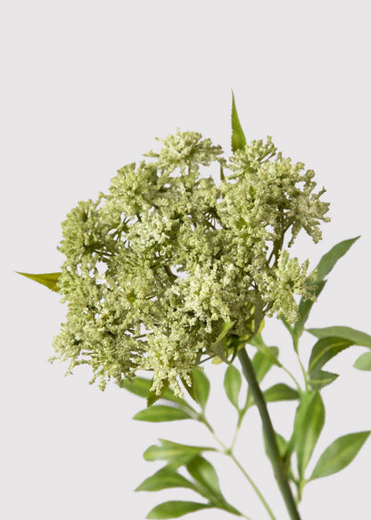 Faux Queen Anne's Lace Wildflowers - 36"