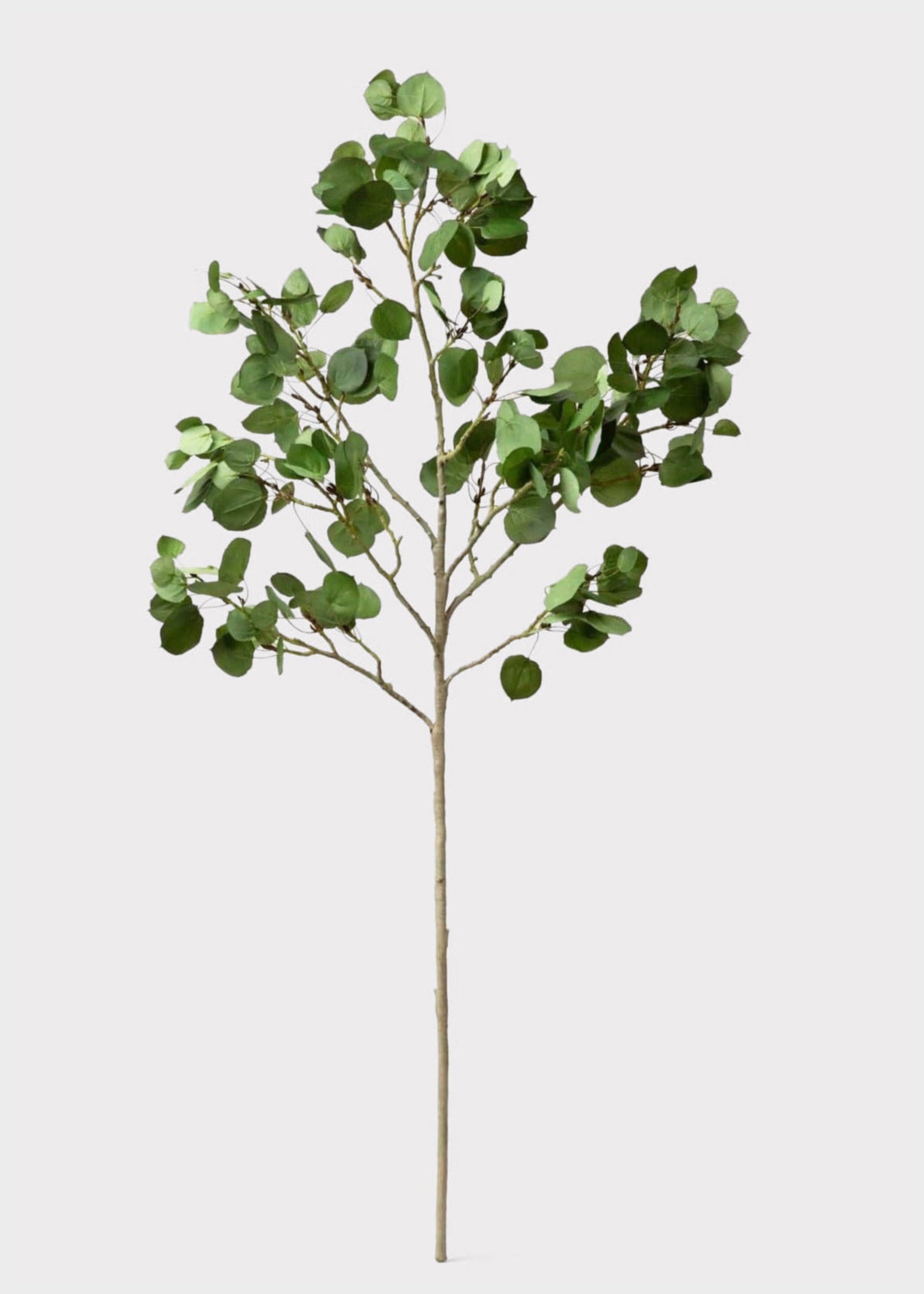 Premium Tall Artificial Aspen Branch - 51"