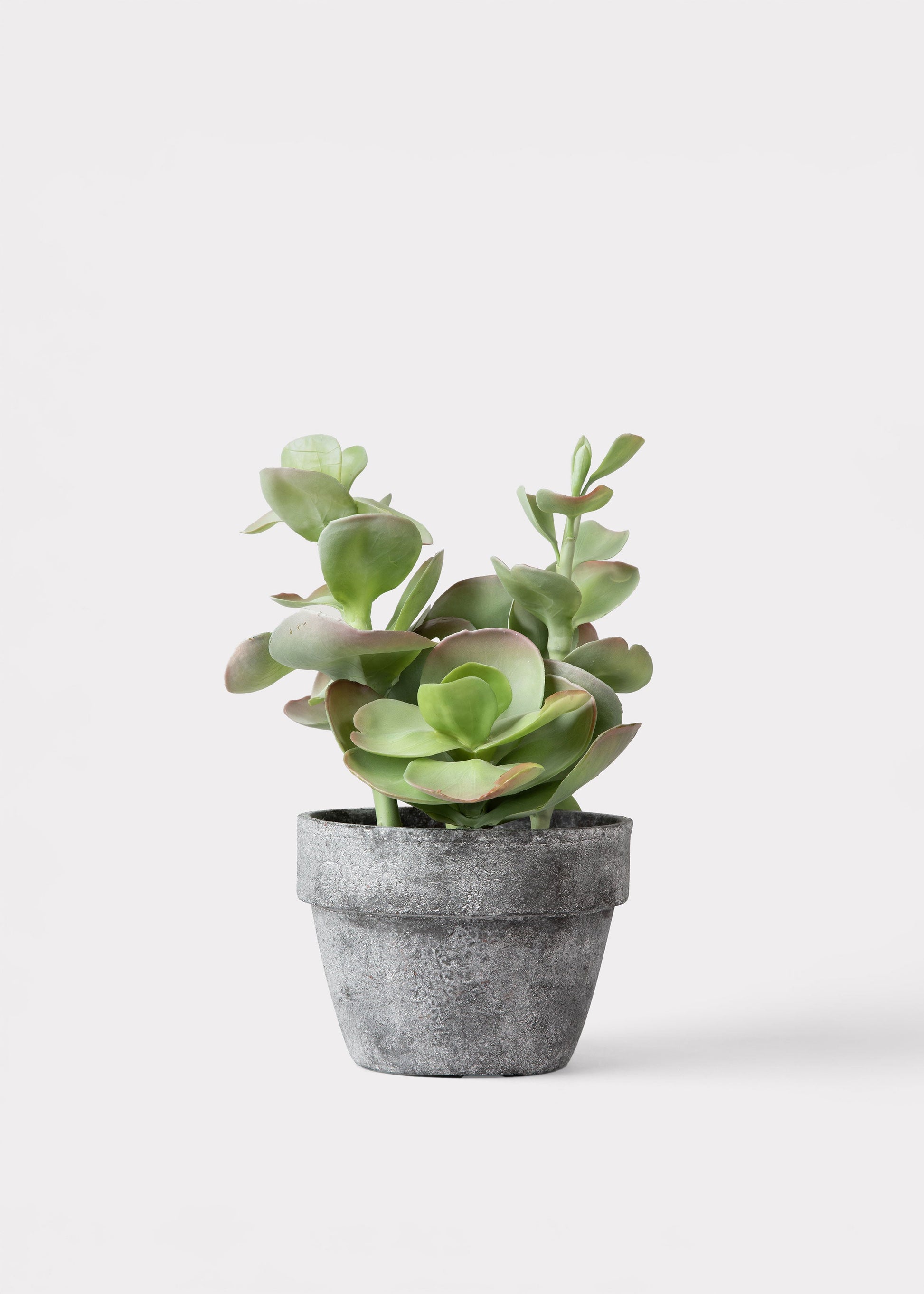 Fake Potted Artificial Succulent Plant  - 16.5"