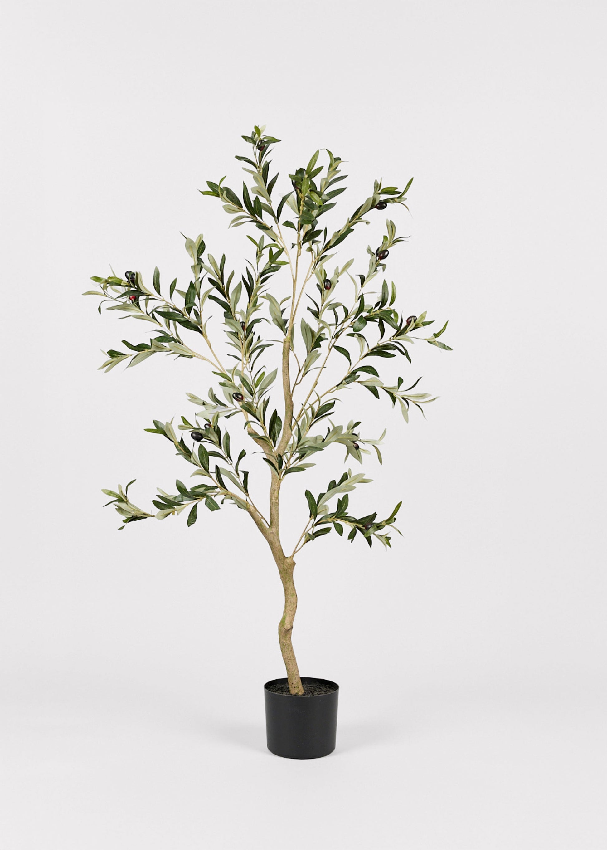 Artificial Potted Olive Tree Plant - 47.25"
