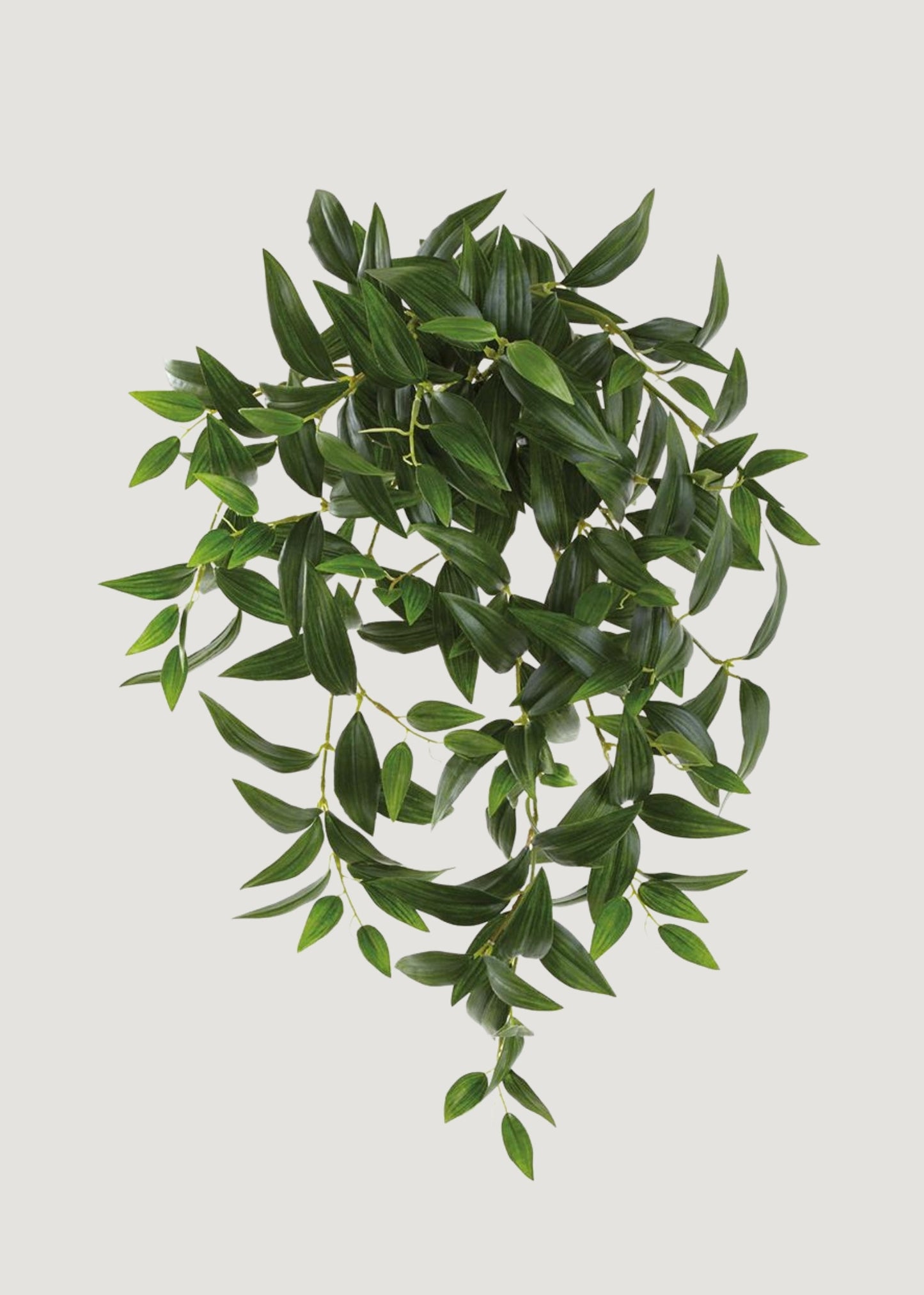 Artificial Hanging Ruscus Leaf Bush - 22"