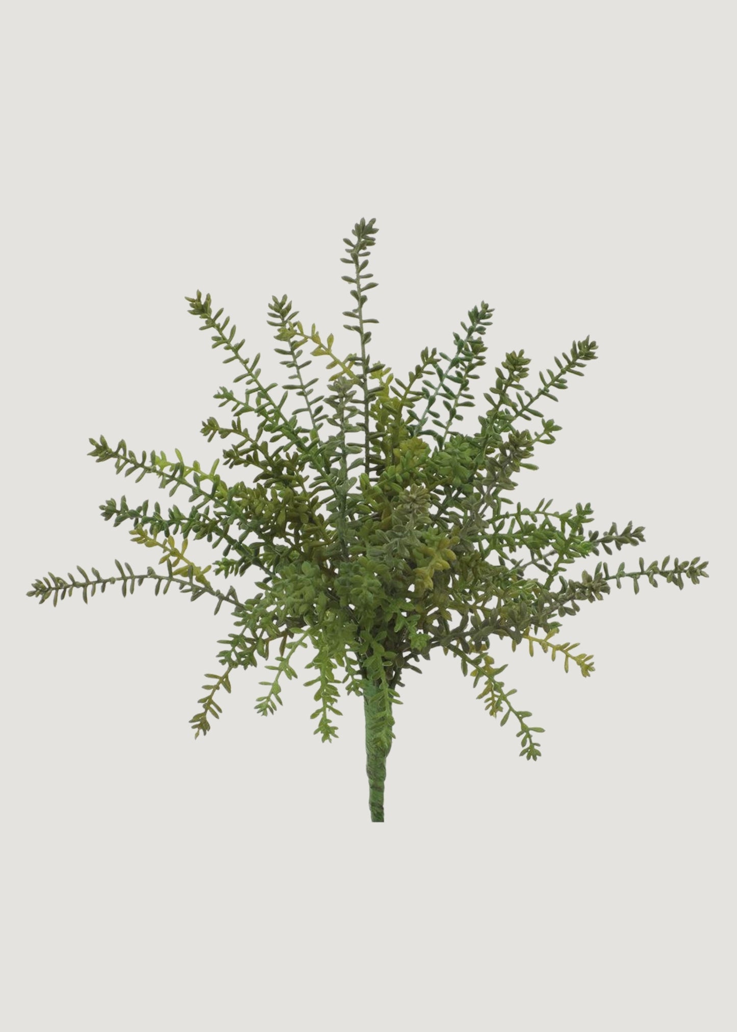 Fake Succulents Green Sedum Bush - 15.5"