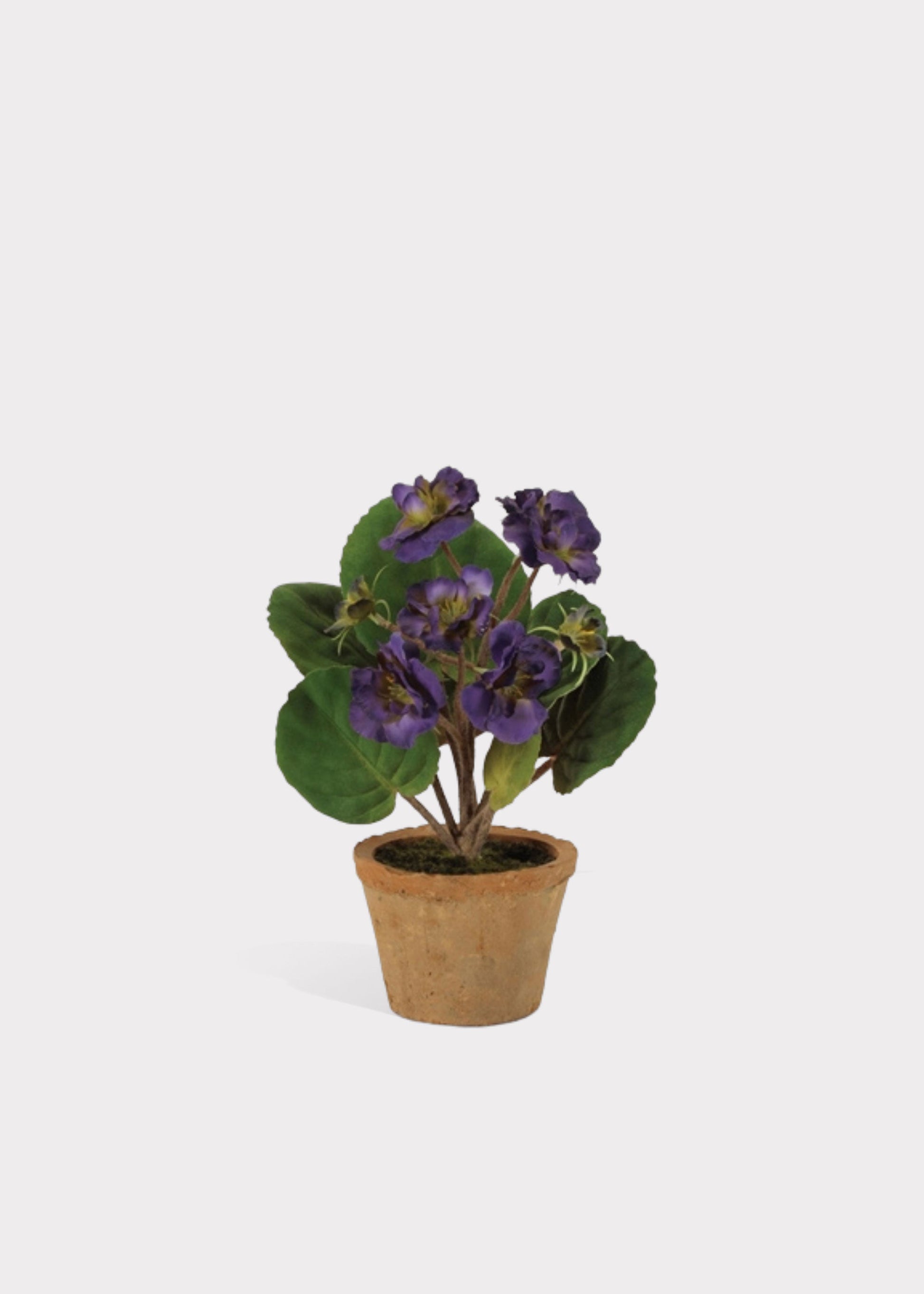 Purple Fake Potted African Violet Plant in Terra Cotta Pot - 8"