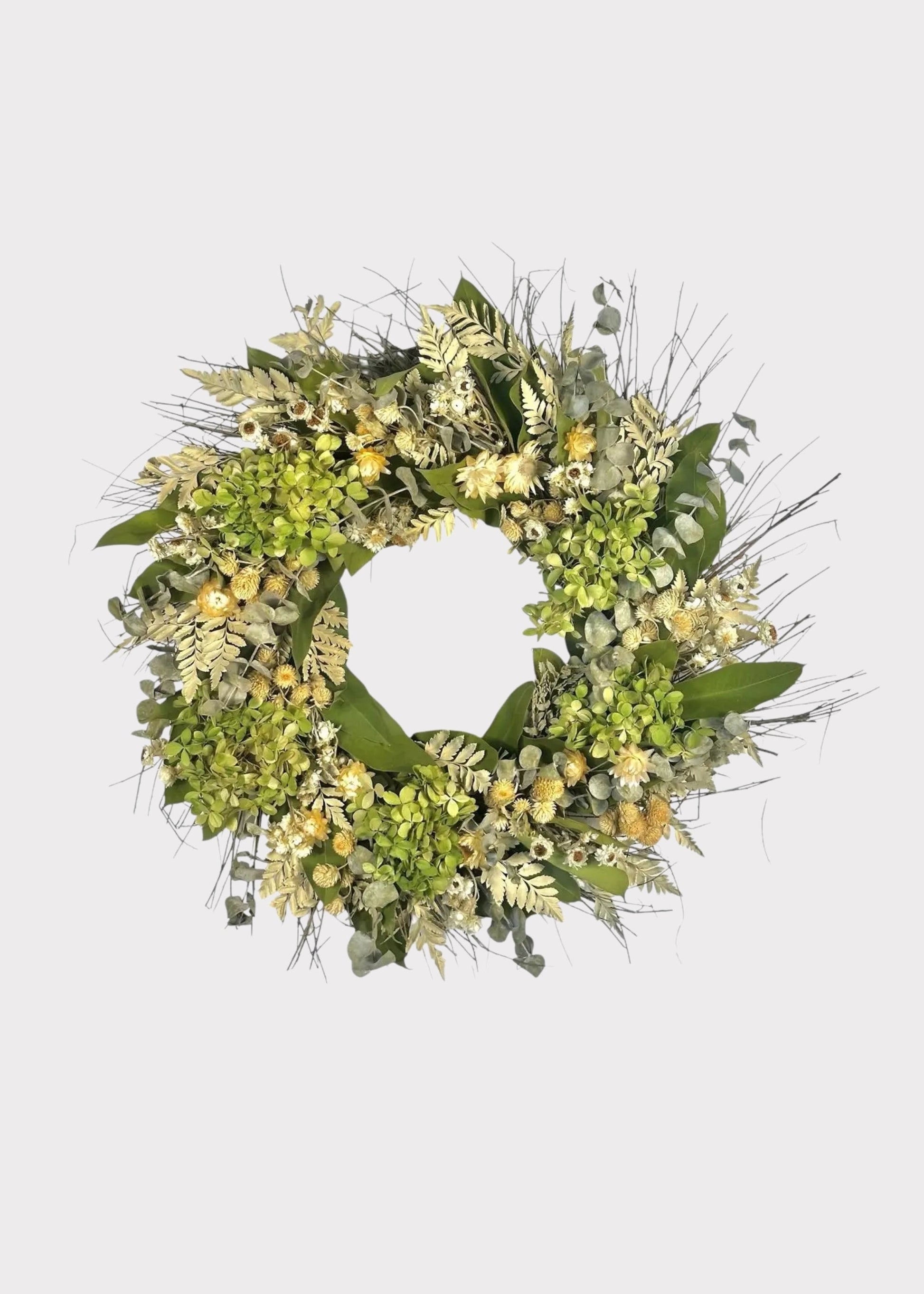 Cream Green Dried Hydrangea Flower and Eucalyptus Wreath - 22"