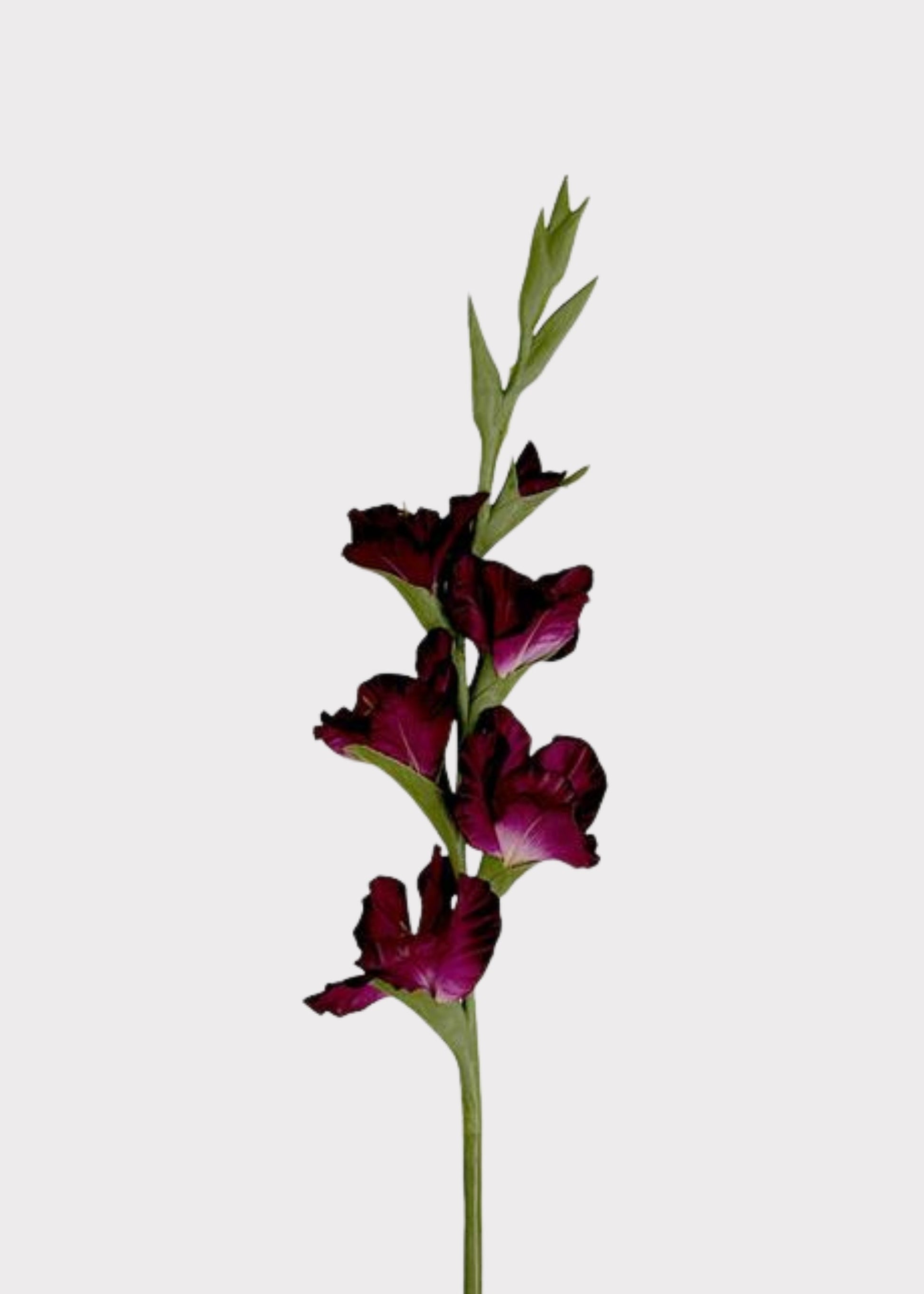 Tall Plum Purple Fake Gladiolus Flower Stem - 34"