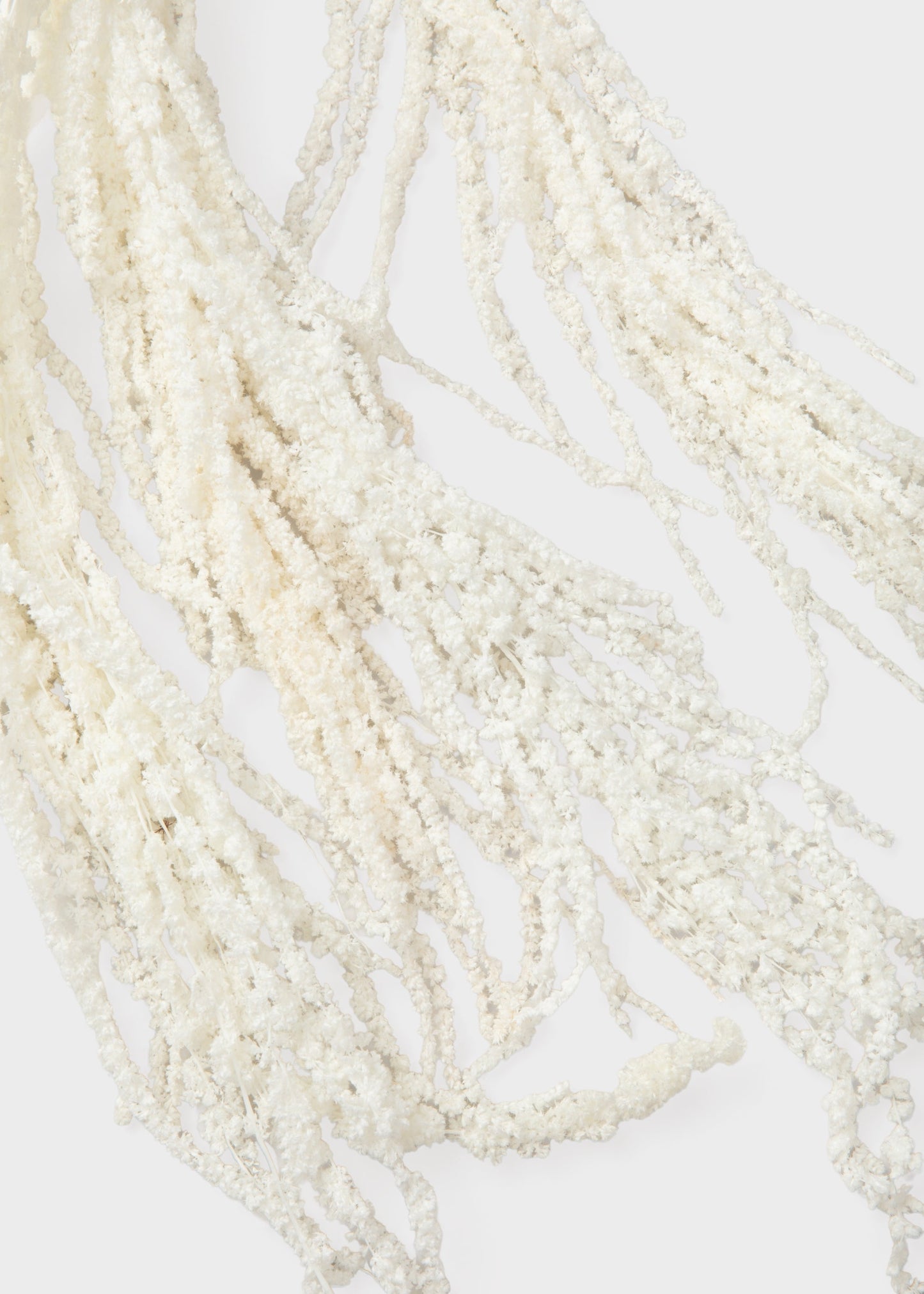 Preserved Hanging Amaranthus Flowers in White - 32-40"