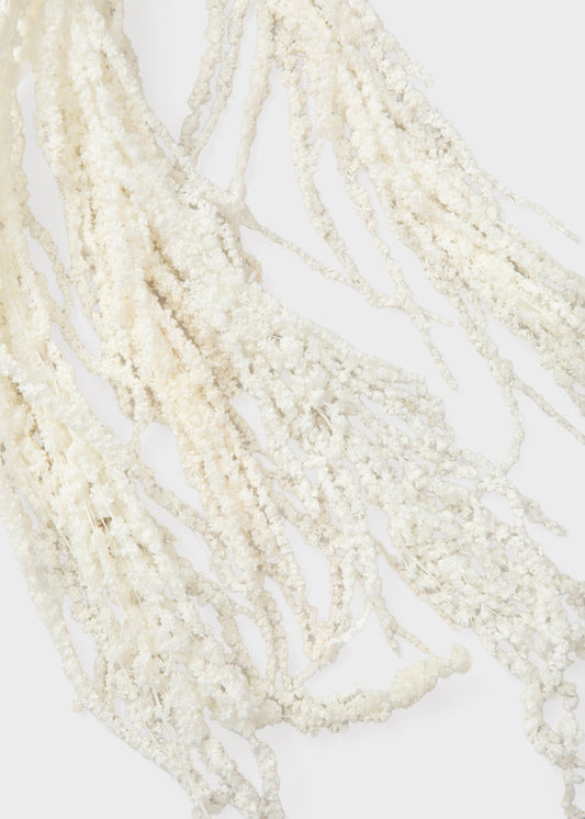 Preserved Hanging Amaranthus Flowers in White - 32-40"
