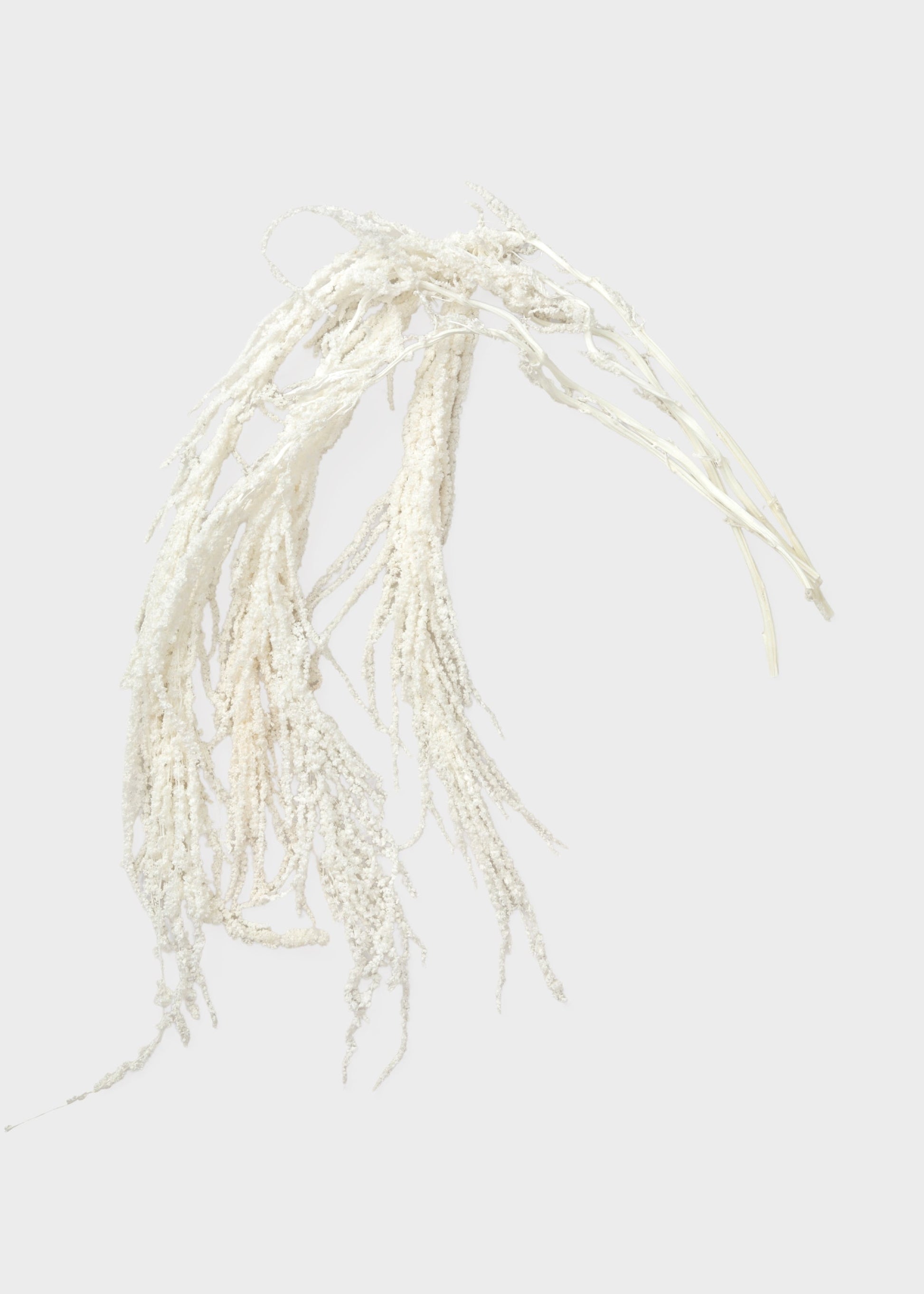 Preserved Hanging Amaranthus Flowers in White - 32-40"
