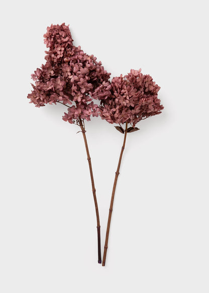 Dusty Pink Mauve Preserved Cone Hydrangea Stem