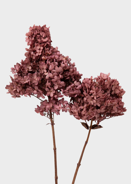 Dusty Pink Mauve Preserved Cone Hydrangea Stem
