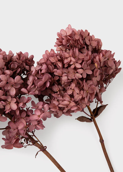Dusty Pink Mauve Preserved Cone Hydrangea Stem
