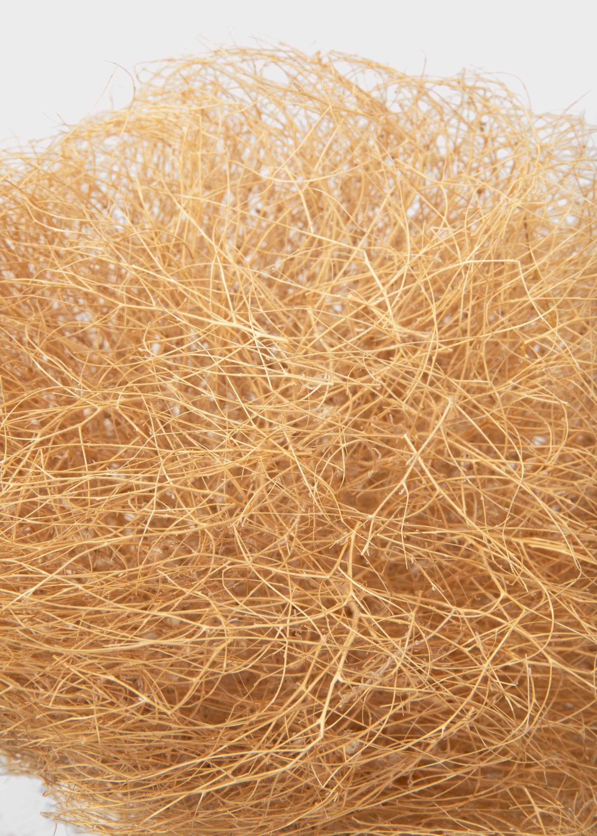 Natural Dried Tumbleweed Bunch in Medium Size - 12-18" Wide