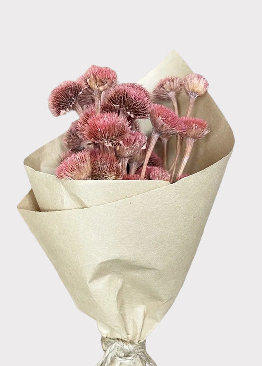 Mini Daisy Wildflower Dried Flower Bouquet in Pink - 7"