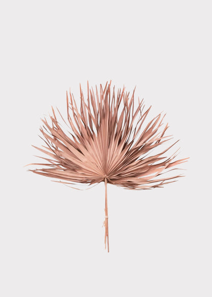 Pink Natural Dried Fan Palm Leaf Bundle of 4 - 29"