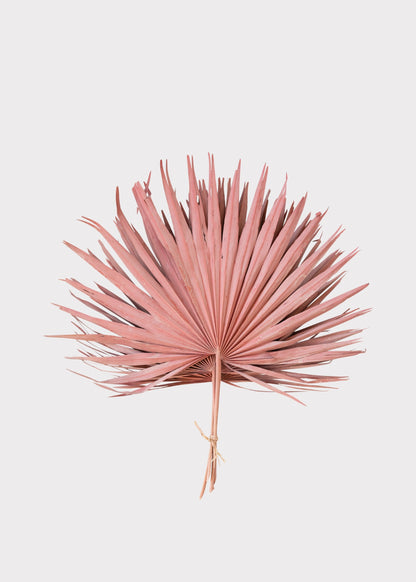 Pink Natural Dried Fan Palm Leaf Bundle of 4 - 29"