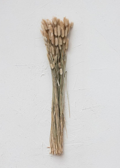 Natural Dried Bunny Tail Grass Bunch - 32"