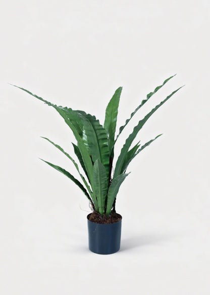 Natural Touch Fake Potted Bird Nest Fern Plant - 42.25"