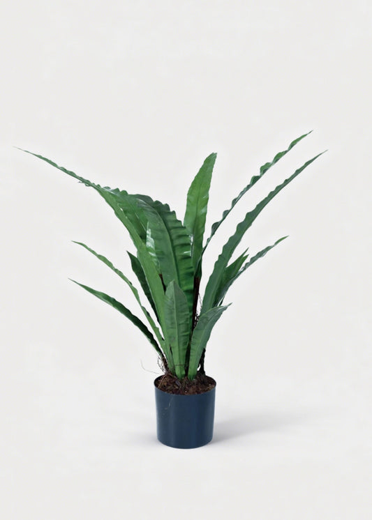 Natural Touch Fake Potted Bird Nest Fern Plant - 42.25"