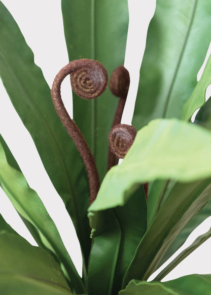 Natural Touch Fake Potted Bird Nest Fern Plant - 42.25"