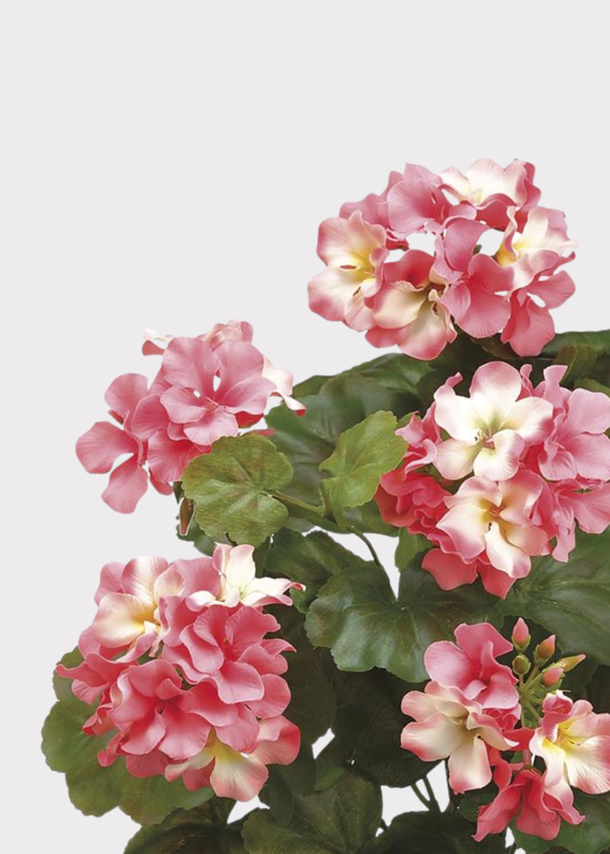 Fake Geranium Indoor/Outdoor Water Resistant Bush in Pink - 19"