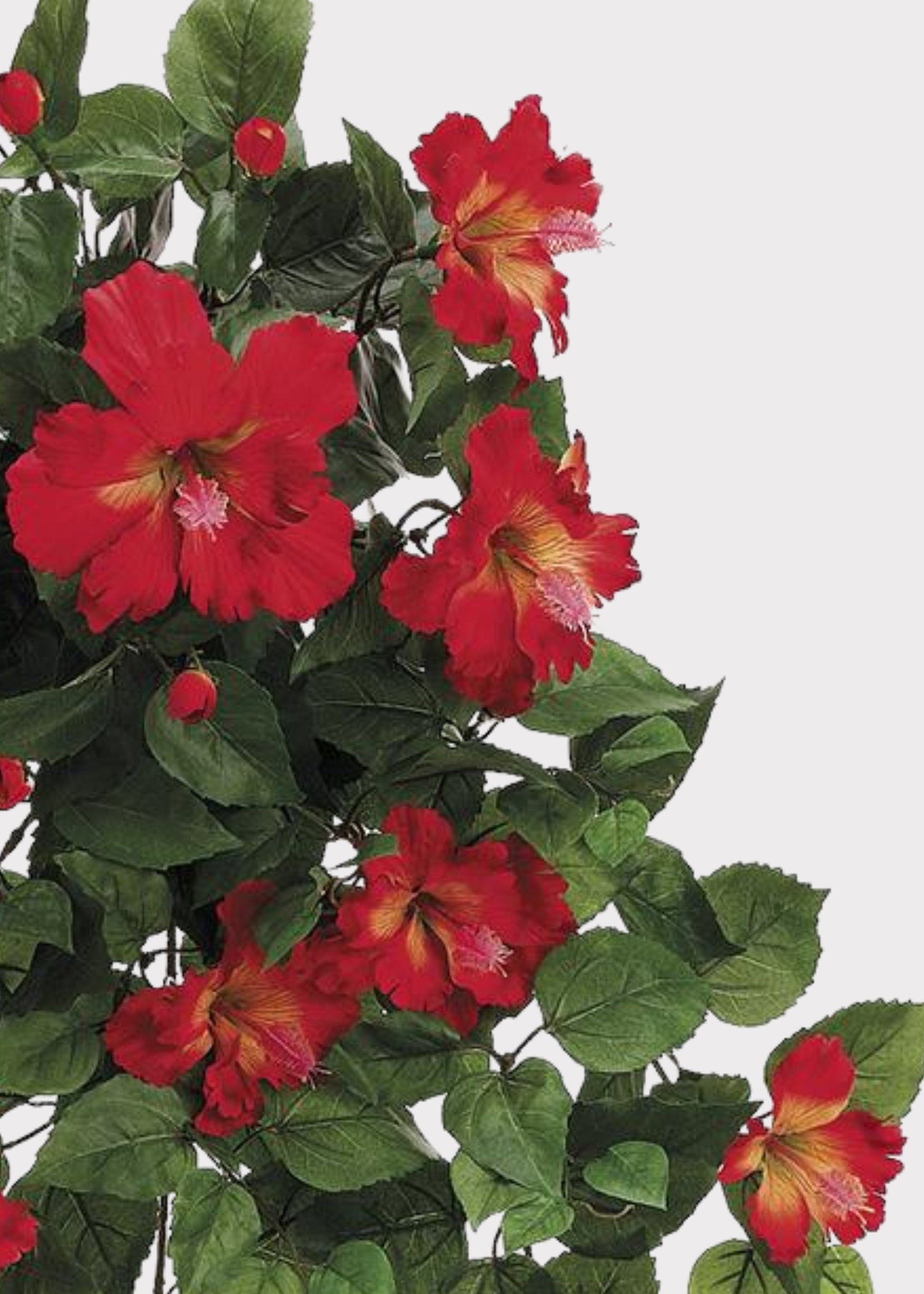 Red Artificial Hibiscus Tropical Hanging Bush - 26"