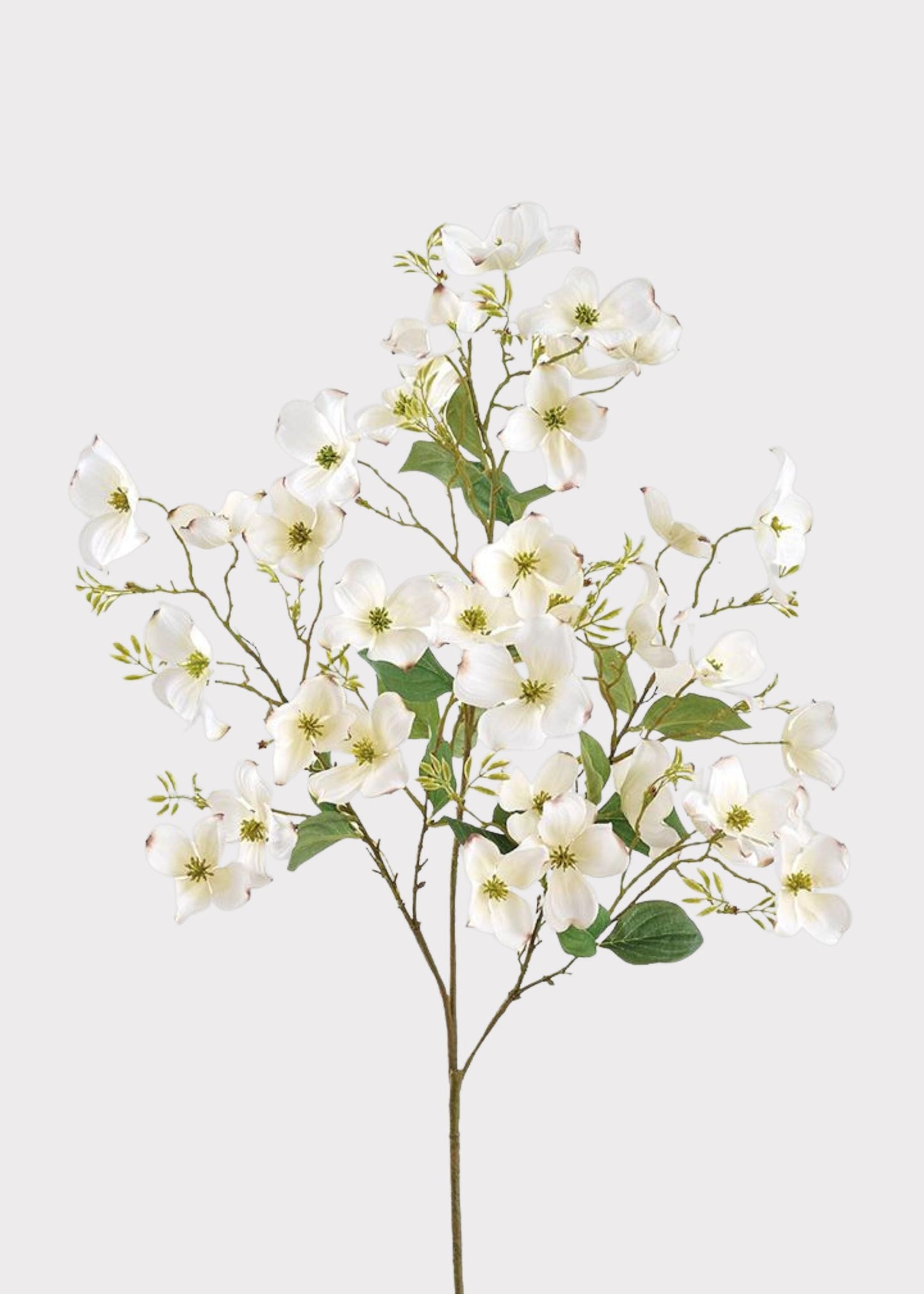 Artificial Blooming Dogwood Flower Branch in White - 44"